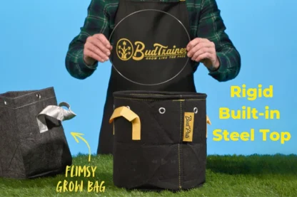The Starter BudBundle - Image 6