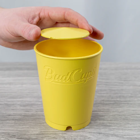 BudCups - Image 2
